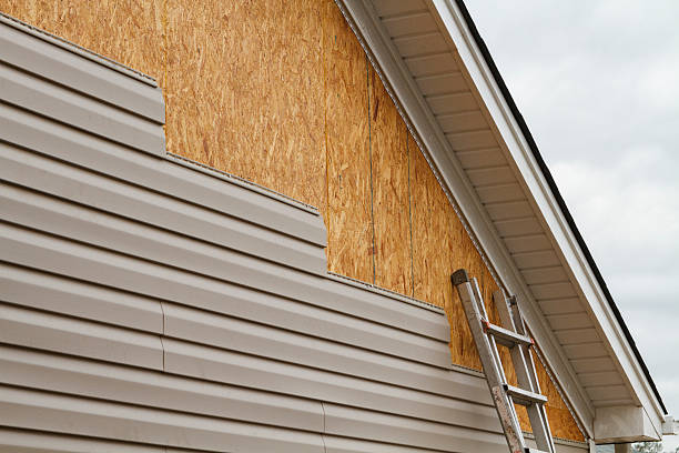 Professional Wood Siding technician working in Cassville, WV